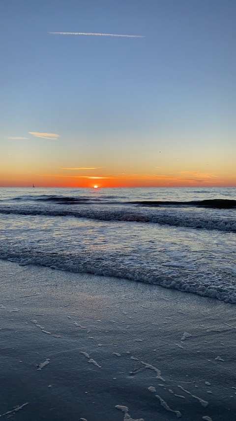 Rose 🌹😈 @rosey_cheeks cover picture