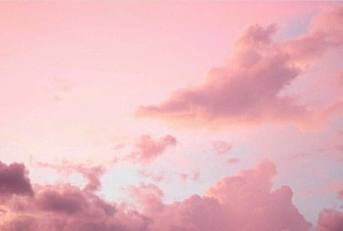 Rosie @rosiegirl2021 cover picture