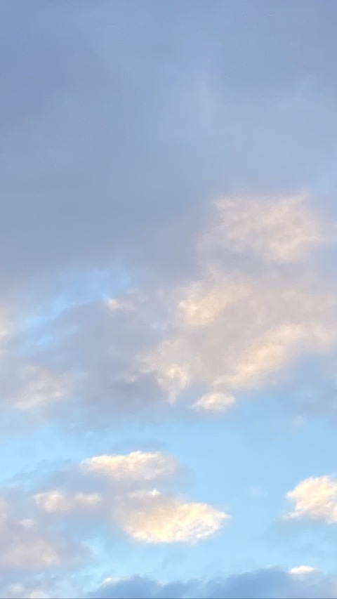 Rxaven @rxaven cover picture