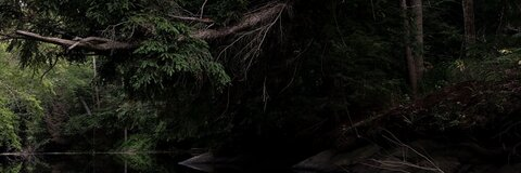 :( @sademogirll cover picture