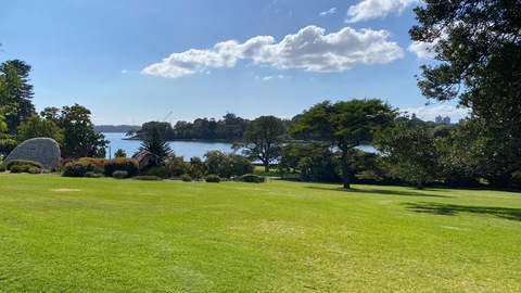 Sadie Gray @sadiegray cover picture