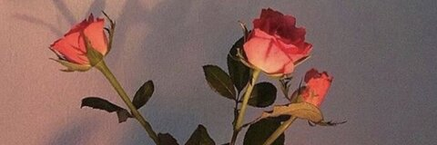 sadie winter @sadiie cover picture