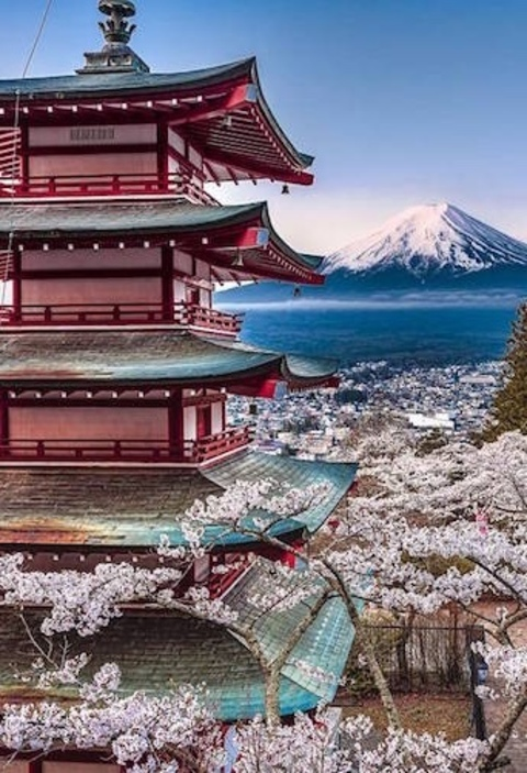 SailingToNarnia @sailingtonarnia cover picture