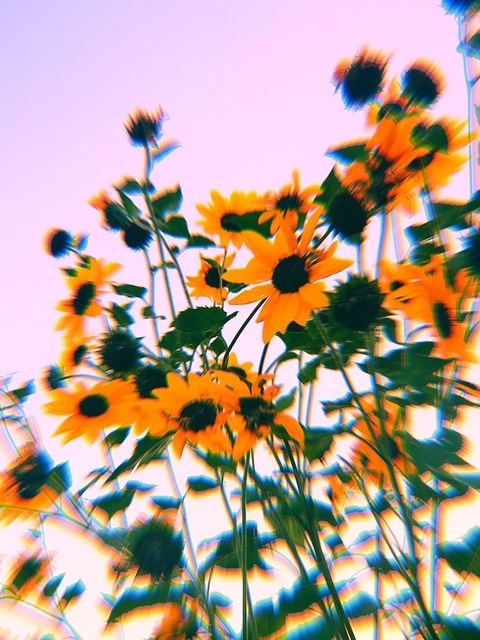 Princess ✨ @salembarbie cover picture