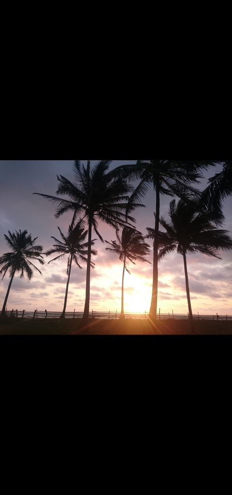 Samantha @samanthagia cover picture