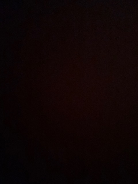 Sammy @sammy-xo cover picture