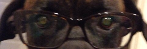 sam @samnthalopez cover picture