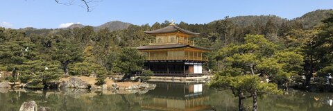 sara 🌱 @saraddoll cover picture