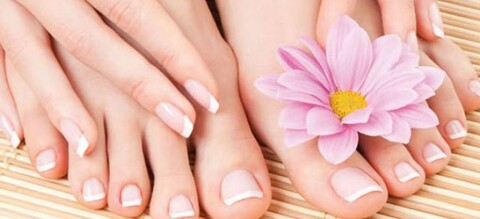 Sarah Cambell @sarahcambell cover picture