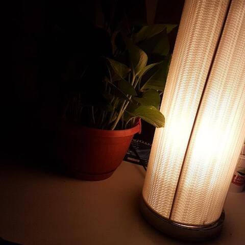 Sara @sararose cover picture