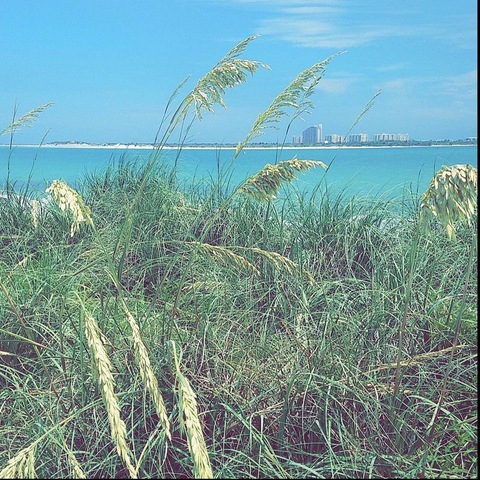 Sully @sauczedup cover picture