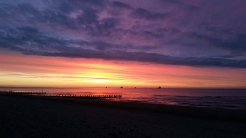 scottish belle @scottishbelle cover picture