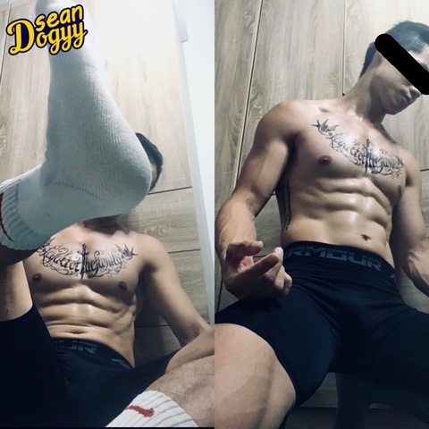 健身肖恩 @seandogyy cover picture