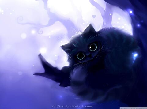 Sella @sellapink cover picture