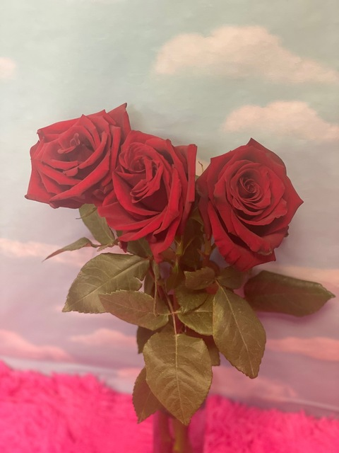 SenxualChixk @sensualchick cover picture