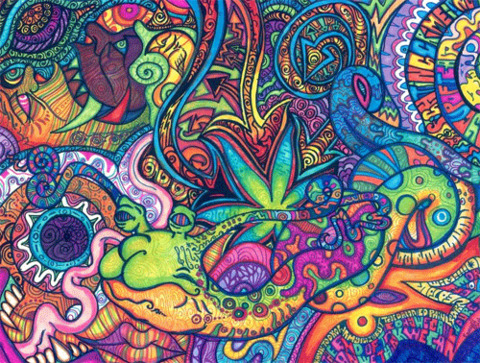 tay nicole @sexytrex13 cover picture