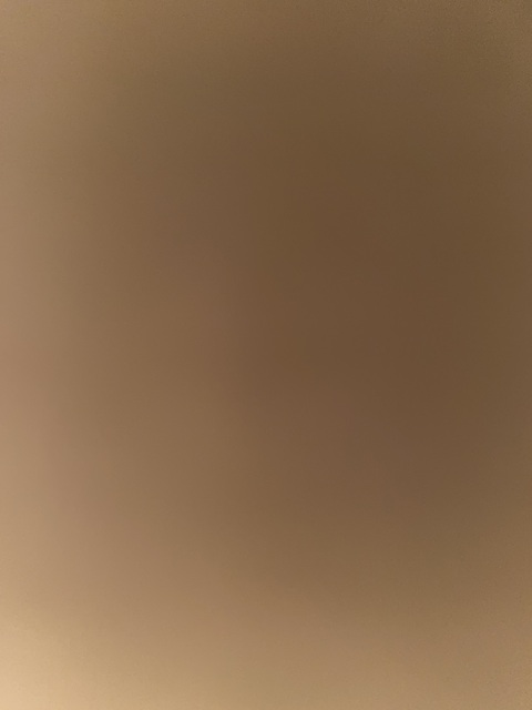 Shelbae @shelbaby cover picture