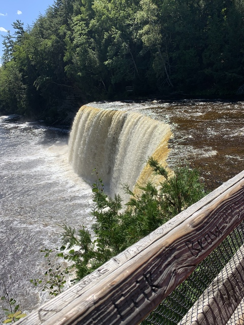 Shelby R @shelbyr cover picture