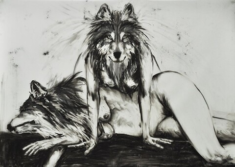 Shewolf @shewolf cover picture