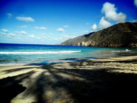 Alessandro @shigaraki cover picture