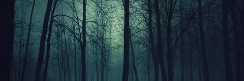 ☆SHØWS☆ @shows cover picture