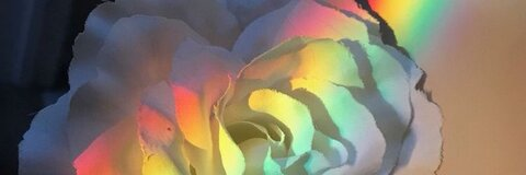 甘い豆の少年 @shy_bean39 cover picture