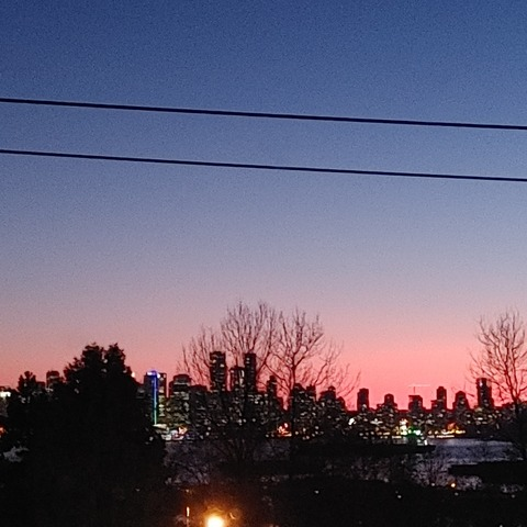 Shyshyone @shyshyone cover picture