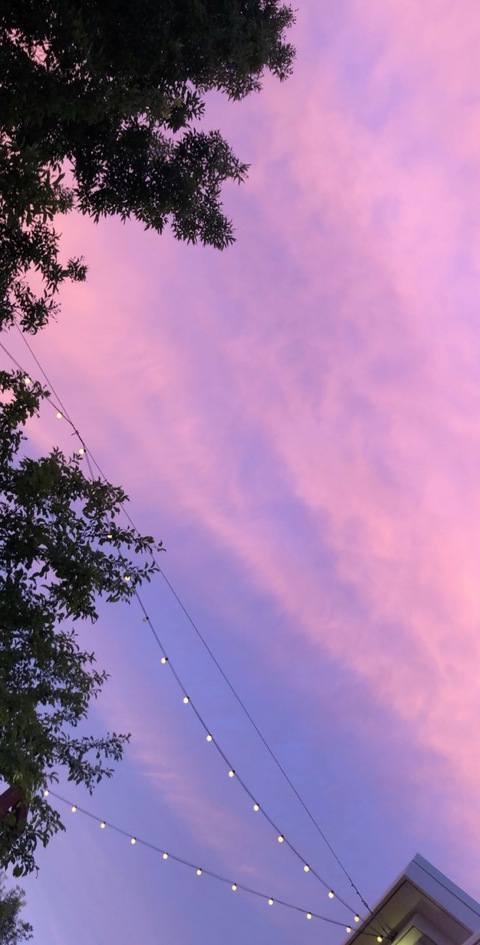 sierrarain🦋 @sierrarain cover picture