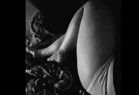 Sirprincessness420 @sirprincessness420 cover picture