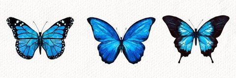 Skai @skaiiss cover picture