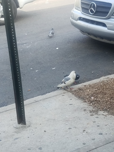 Just a fan @sleepless cover picture