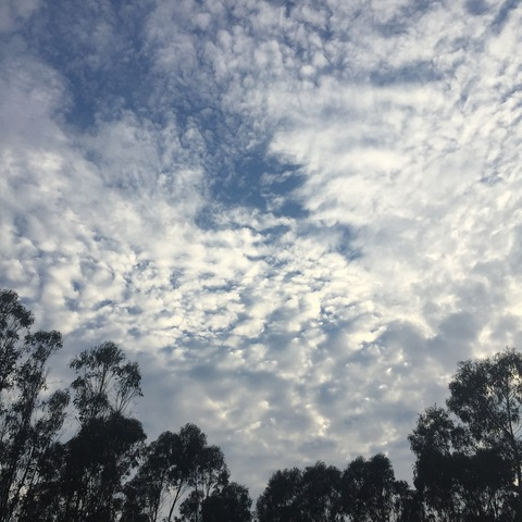 Locke Loveland @sleeplessinn cover picture