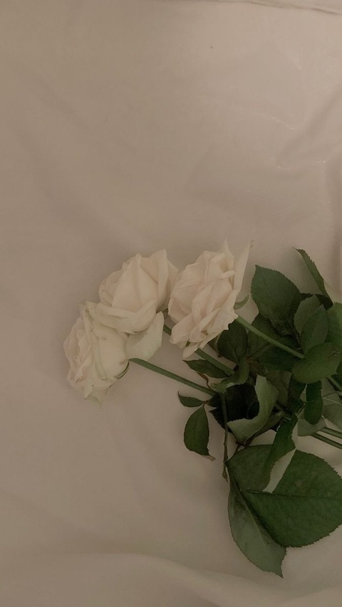 Des @sleepyprincesss cover picture