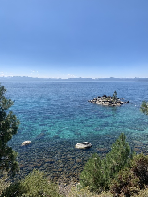 Vitamin D @smoov-d cover picture