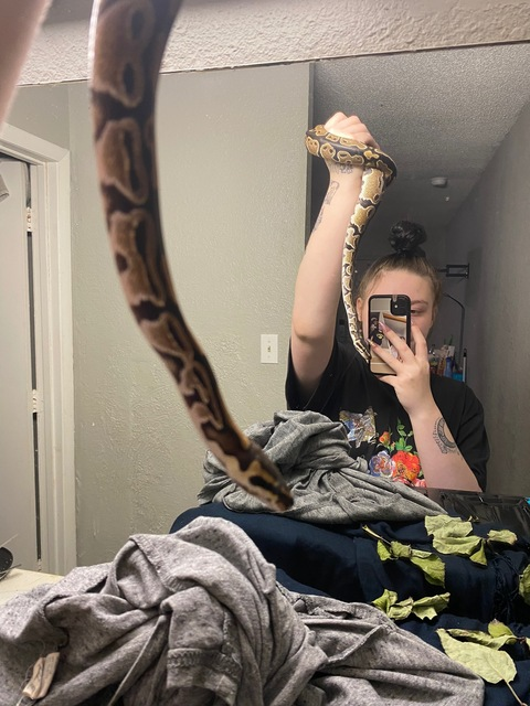 804baby @snowbunnybabygirl cover picture