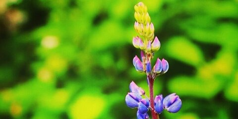 Someone @someone cover picture