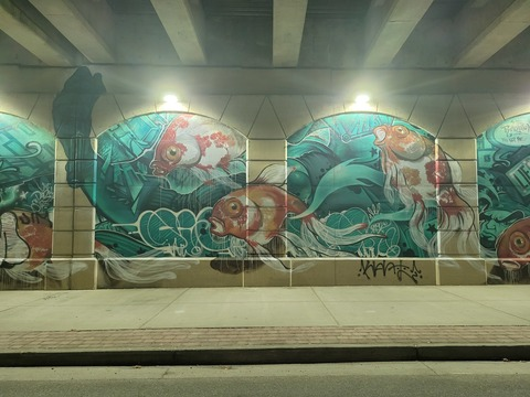 Sami @somethingexotic cover picture