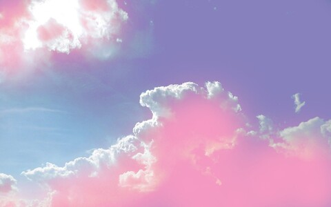 Leonardo Da Titties @sour_peachie cover picture