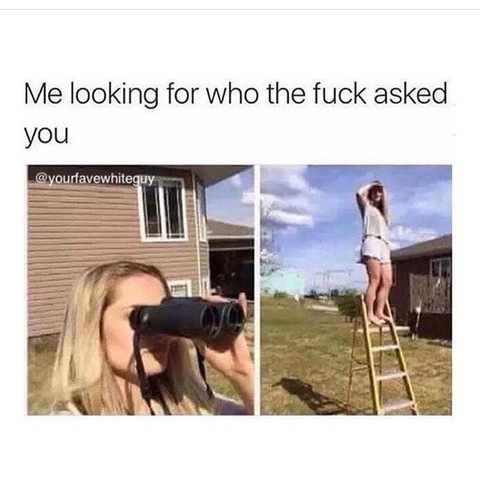 Sophia @southernshorty cover picture