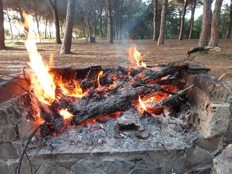 Keko @soykeko cover picture