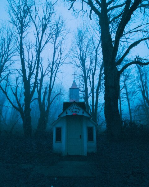 𝔖𝔭𝔞𝔠𝔢 𝔠𝔬𝔴𝔤𝔦𝔯𝔩 @space-cowgirl cover picture