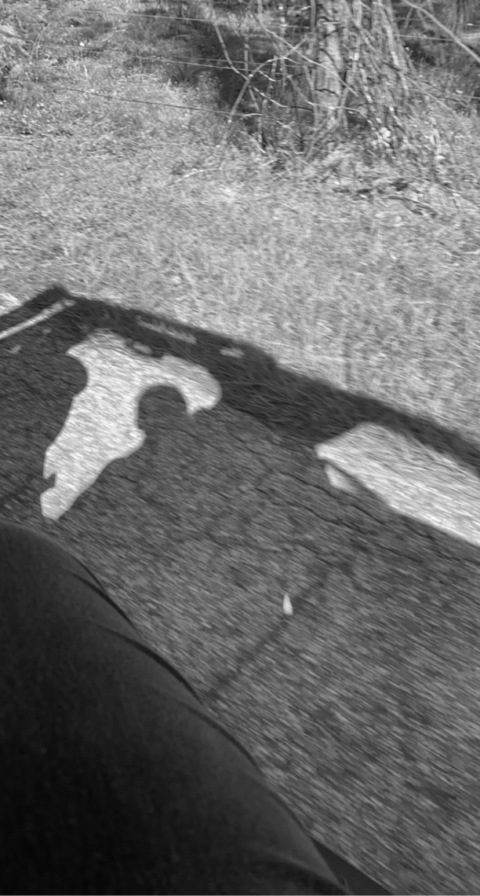 Sparrow @sparrow614 cover picture