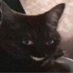 squidvicious Profile Picture