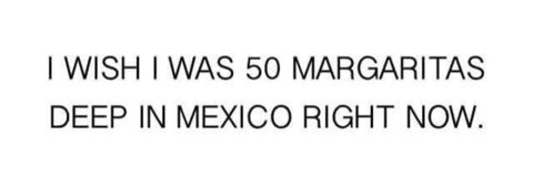 Miss Squishy @squishyisback cover picture