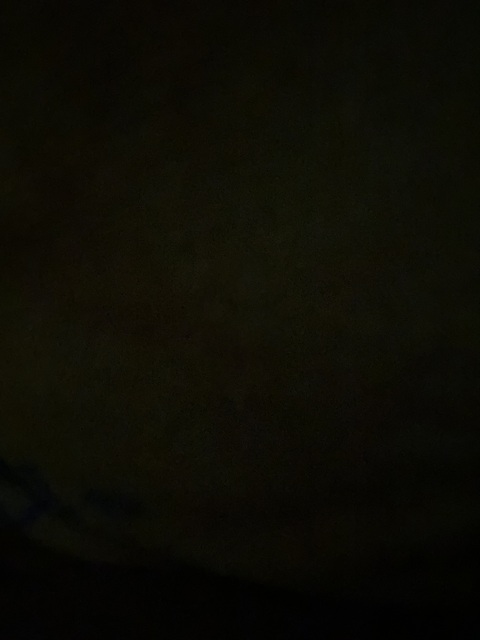 Stacy @stacybabee cover picture