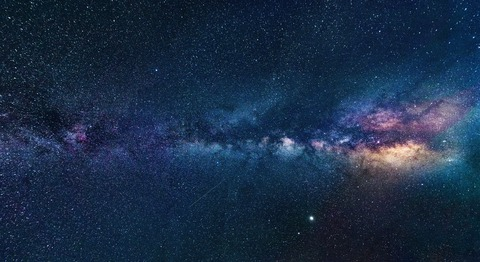 Starr Blossom @starr__blossom cover picture