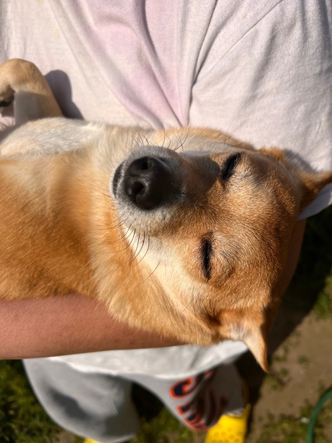 Stefaunie @stefaunie cover picture