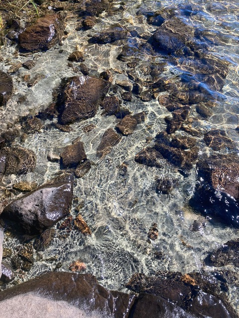 Stonerrrbabe42000 @stonerrrbabe42000 cover picture