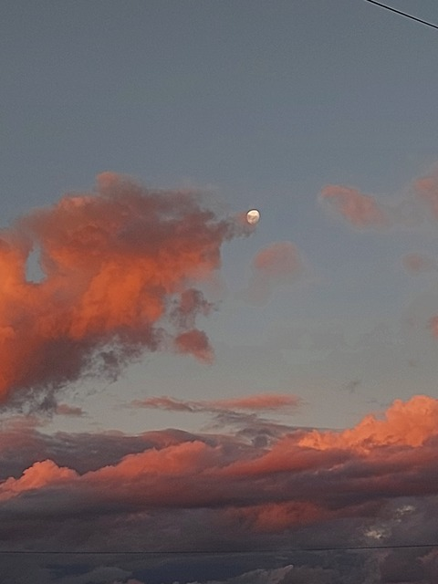 berry @strawberrymon cover picture