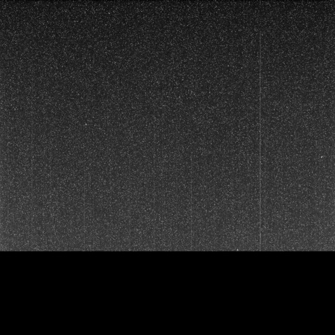 IRENE @sugarpain cover picture